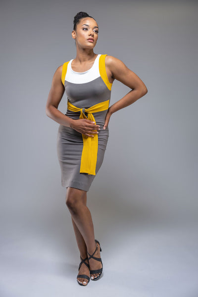 Vida knee length colorblock pencil dress with belt detail
